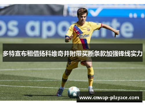 多特宣布租借扬科维奇并附带买断条款加强锋线实力